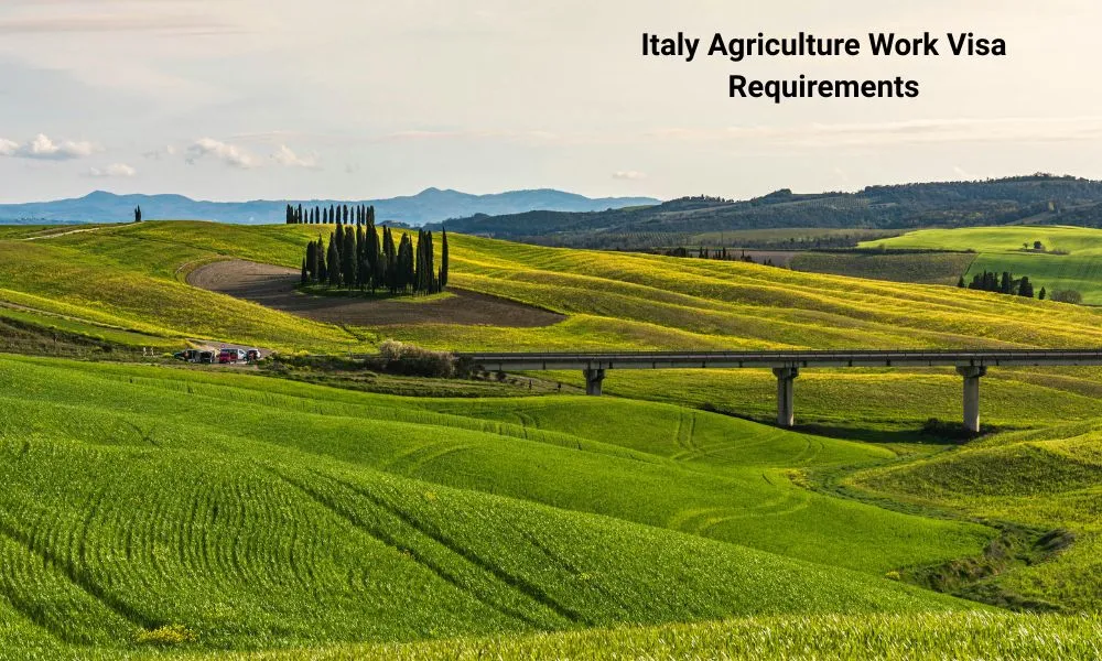 Italy Agriculture Visa Eligibility Requirements 2026 — Workers & Employers